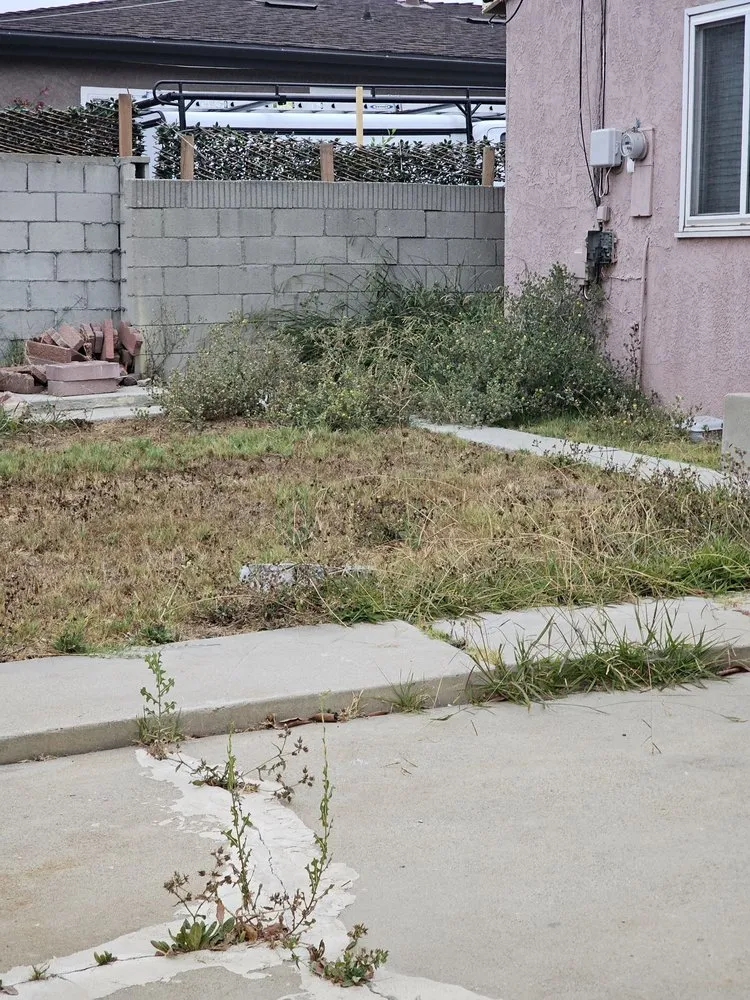 Trusted landscape installation in Hawthorne, CA by Lopez Landscaping and Gardening