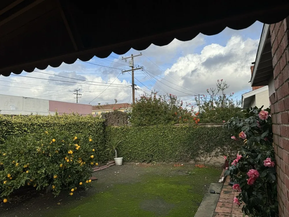 Affordable landscape design for year-round maintenance in Hawthorne, CA by Lopez Landscaping and Gardening