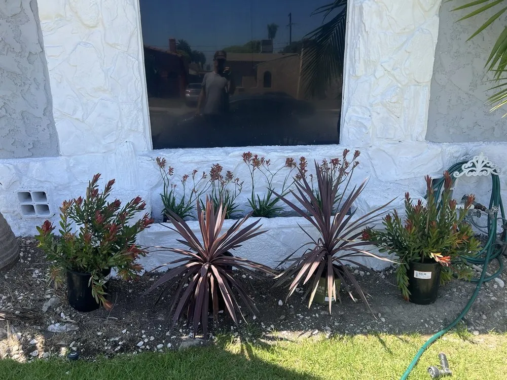 Reliable residential landscaping for residential properties across Hawthorne, CA - Lopez Landscaping and Gardening