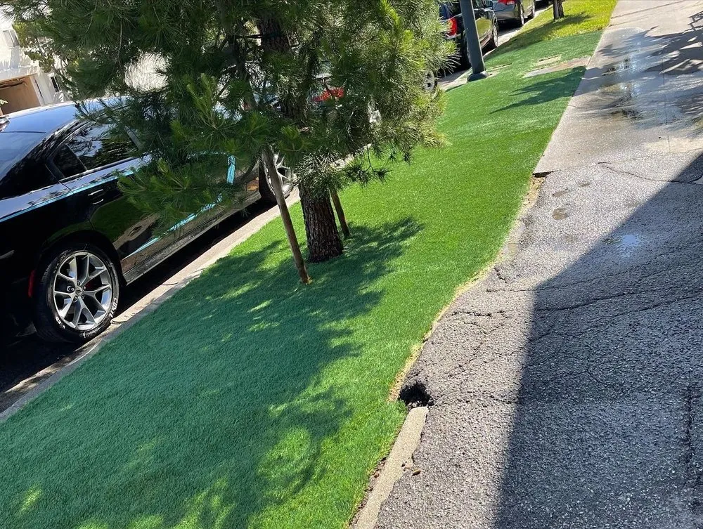 Affordable residential landscaping for outdoor upgrades across Hawthorne, CA - Lopez Landscaping and Gardening