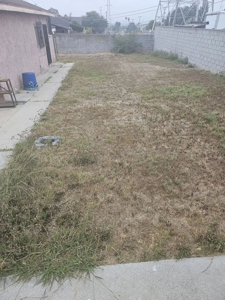 Expert landscaping services experts serving Hawthorne, CA - Lopez Landscaping and Gardening