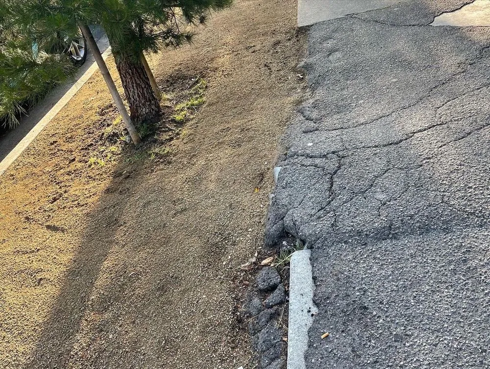 Affordable landscape installation near you in Hawthorne, CA by Lopez Landscaping and Gardening