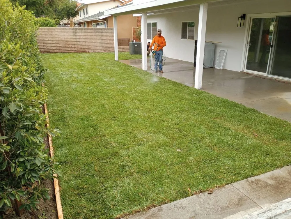 Reliable residential landscaping for beautiful yards in Hawthorne, CA by Lopez Landscaping and Gardening