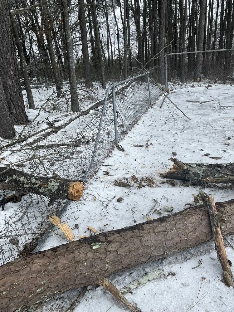 Trusted lawn care service for residential properties in Winder, GA by Lopez Landscaping and Hardscapes