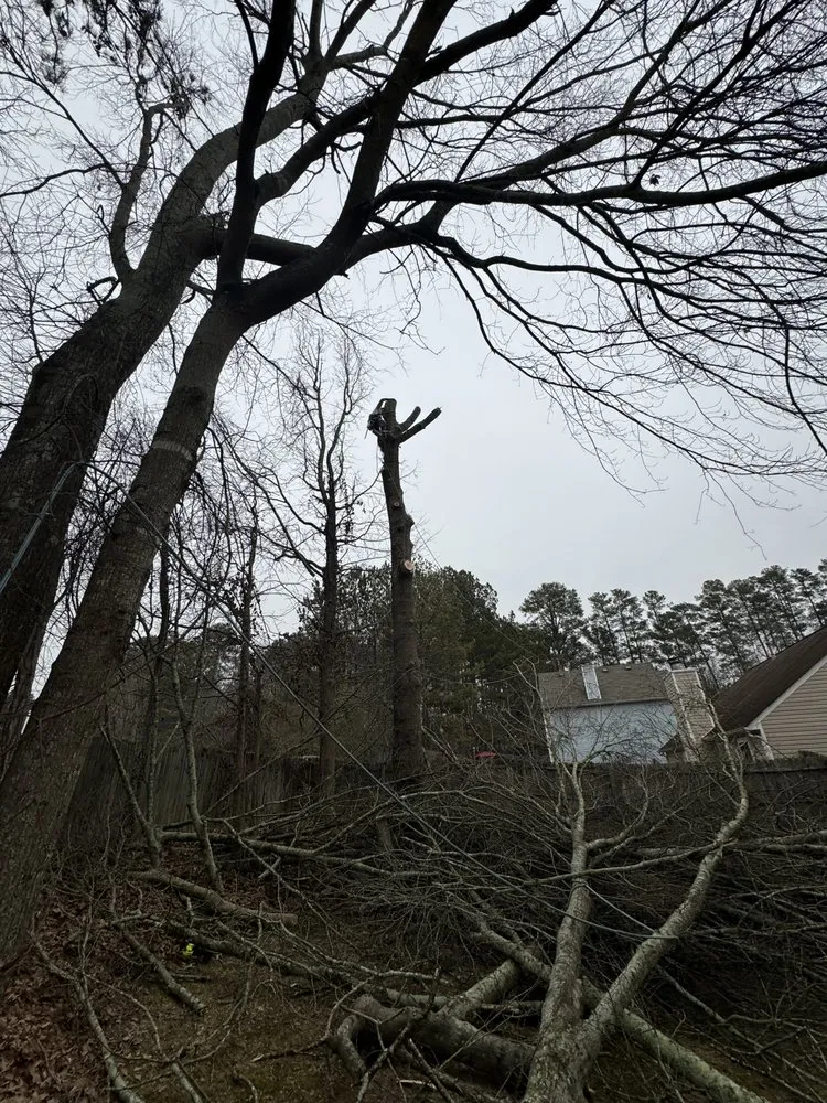 Affordable landscape installation for homes across Winder, GA - Lopez Landscaping and Hardscapes