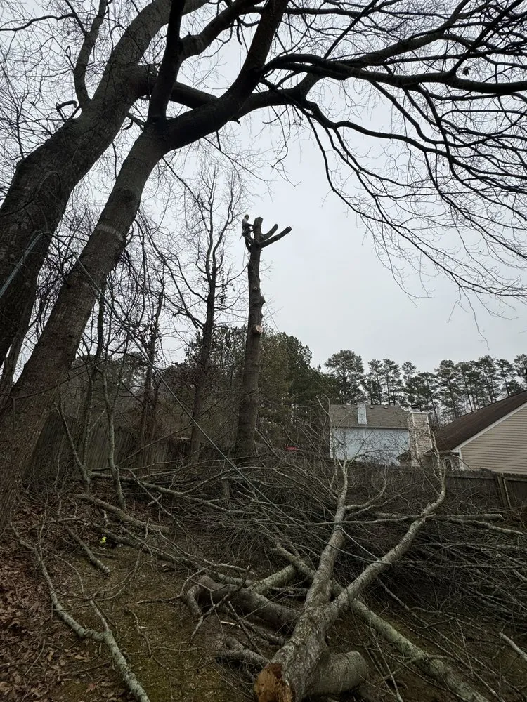 Top-rated lawn care service with custom design in Winder, GA by Lopez Landscaping and Hardscapes