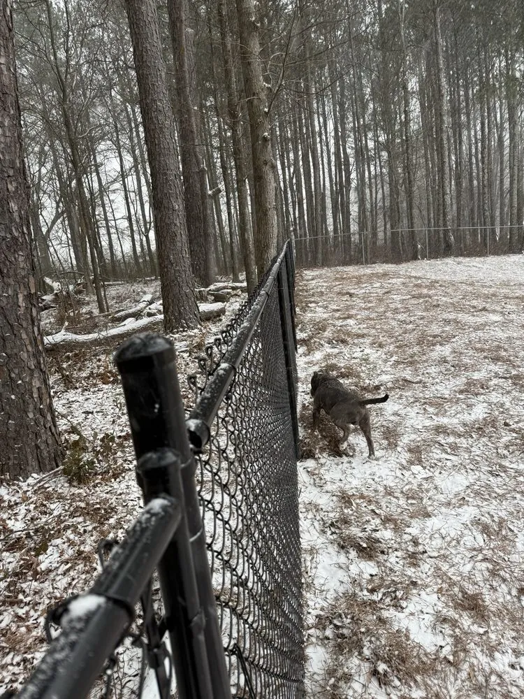 Affordable landscape design for beautiful yards across Winder, GA - Lopez Landscaping and Hardscapes