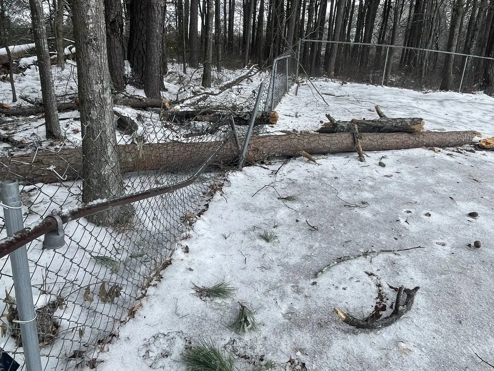 Professional yard cleanup service experts serving Winder, GA - Lopez Landscaping and Hardscapes