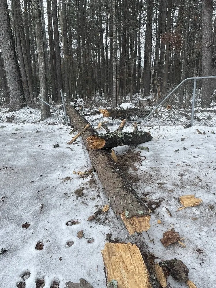 Local yard cleanup service in Winder, GA by Lopez Landscaping and Hardscapes