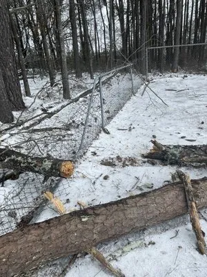 Lopez Landscaping and Hardscapes