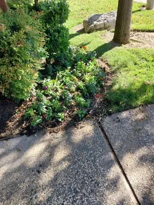 Lopez Landscaping and Lawn Care Logo