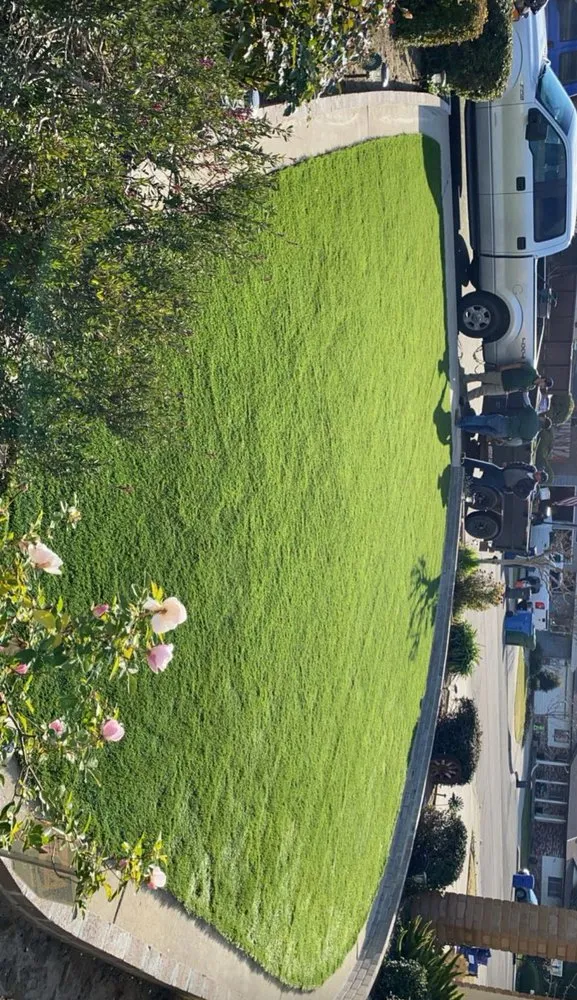 Local yard cleanup service for beautiful yards across Atwater, CA - Lopez landscaping and maintenance