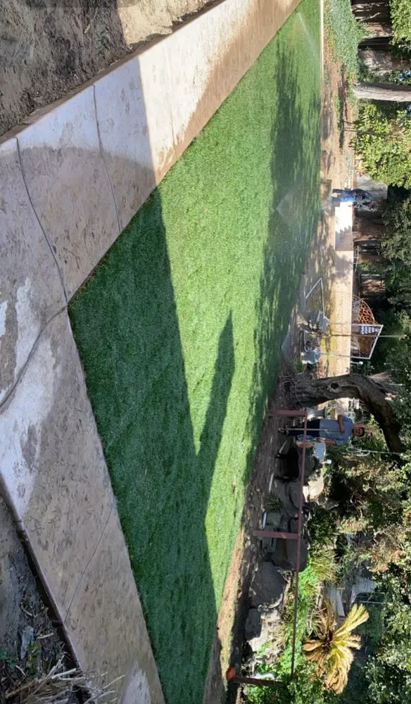 Reliable yard maintenance in Atwater, CA by Lopez landscaping and maintenance