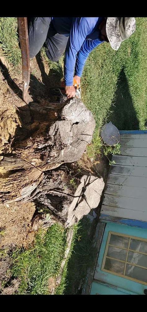 Custom residential landscaping for outdoor upgrades in Garland, TX by Lopez Landscaping and Tree service