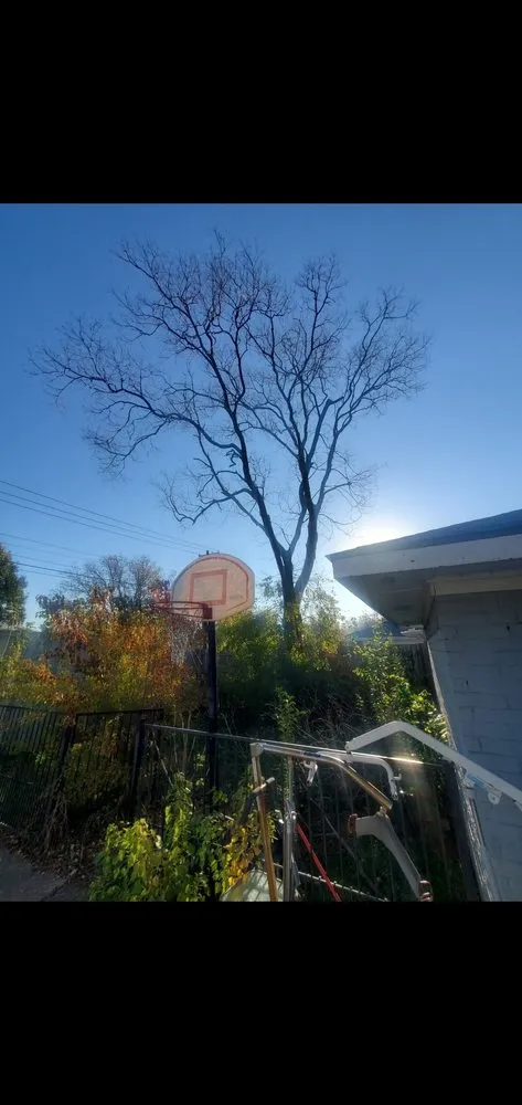 Affordable outdoor landscaping for year-round maintenance across Garland, TX - Lopez Landscaping and Tree service