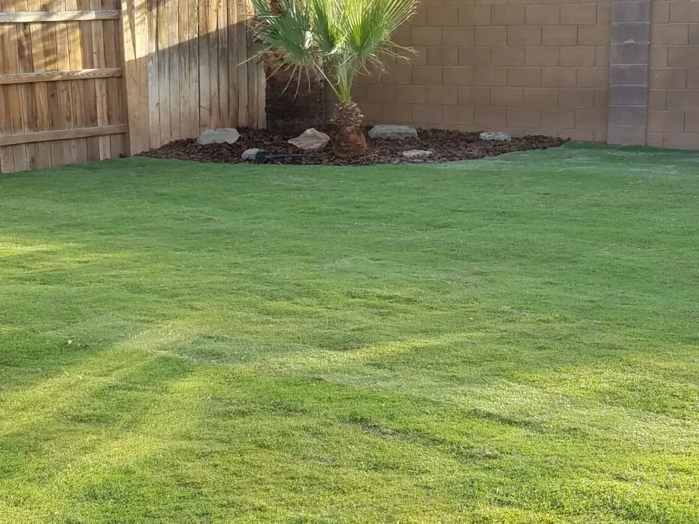 Professional landscape design experts serving Blythe, CA - Lopez Landscaping