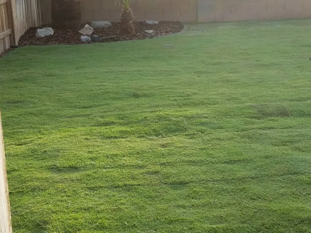 Top-rated landscape design for residential properties in Blythe, CA by Lopez Landscaping