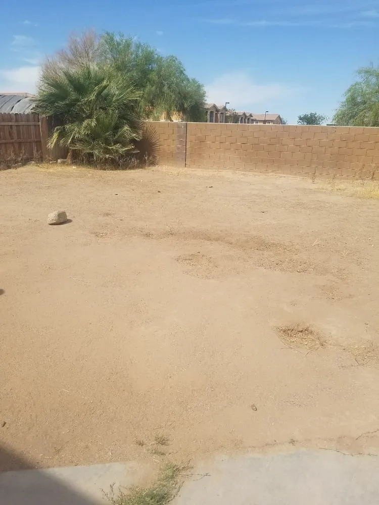 Expert landscaping services with custom design in Blythe, CA by Lopez Landscaping