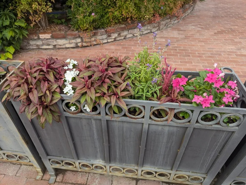 Affordable outdoor landscaping experts serving Casas Adobes, AZ - Lopez Landscaping