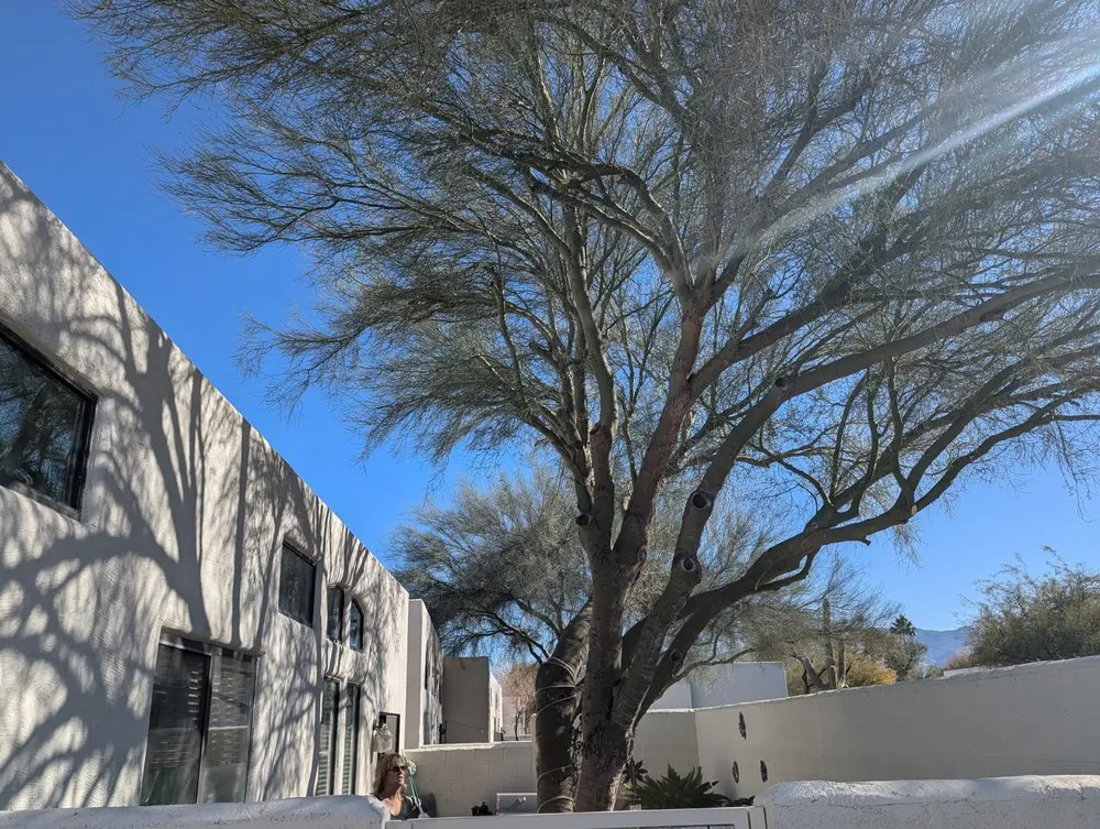 Custom garden landscaping in Casas Adobes, AZ by Lopez Landscaping