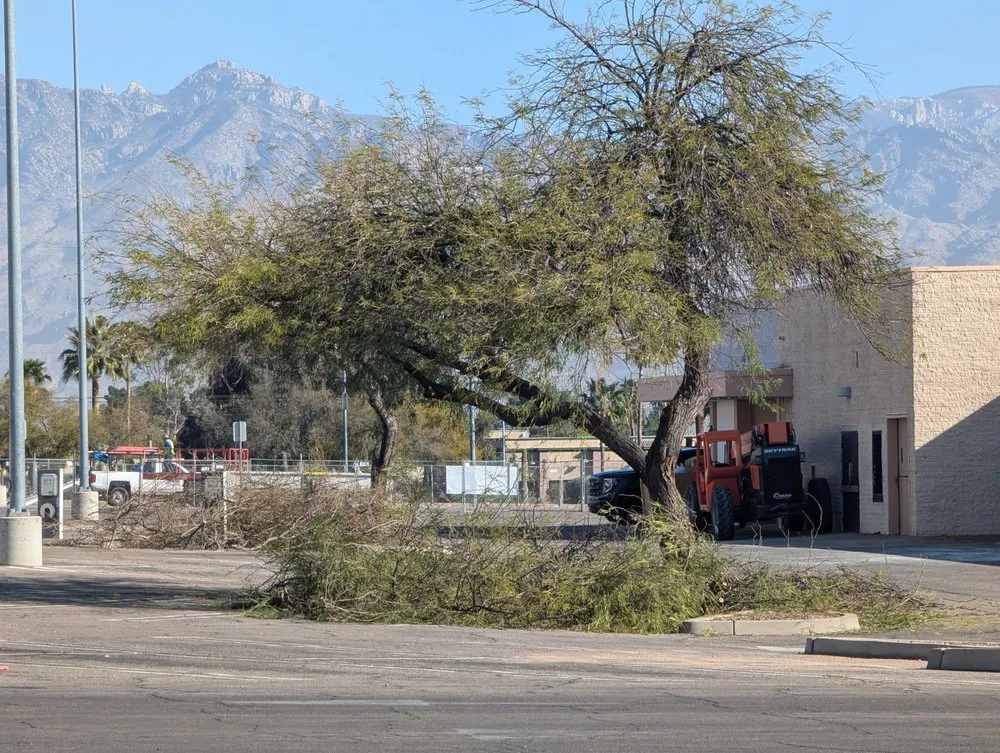 Custom lawn care service experts serving Casas Adobes, AZ - Lopez Landscaping