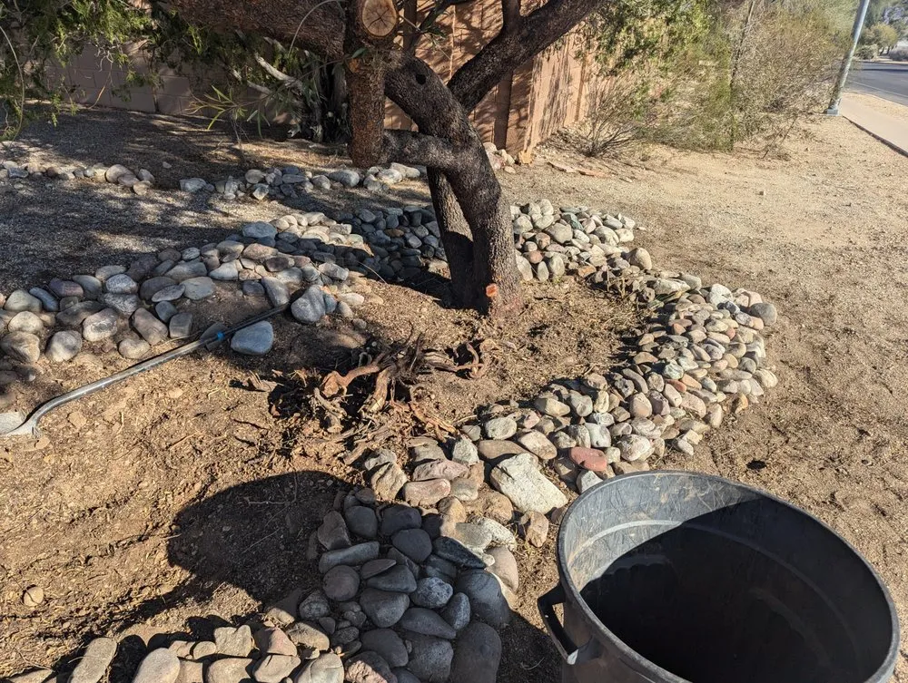 Expert lawn mowing service in Casas Adobes, AZ - Lopez Landscaping