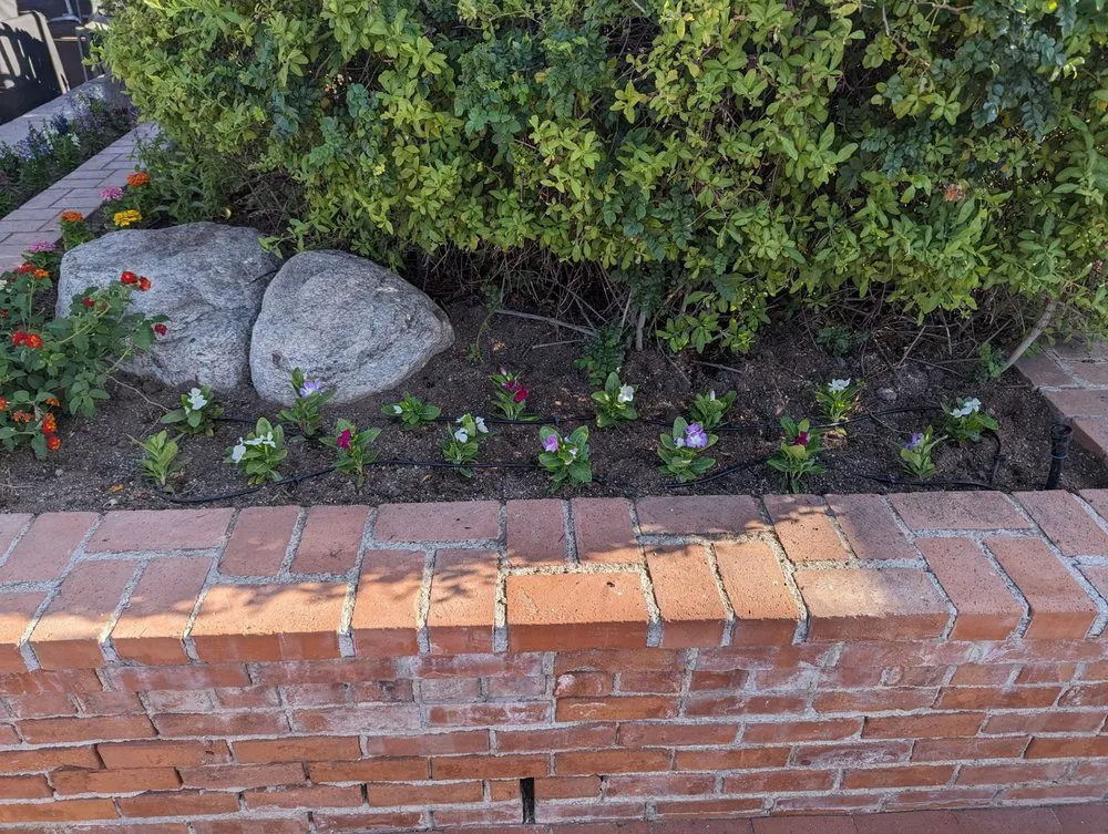 Affordable landscape installation for beautiful yards across Casas Adobes, AZ - Lopez Landscaping