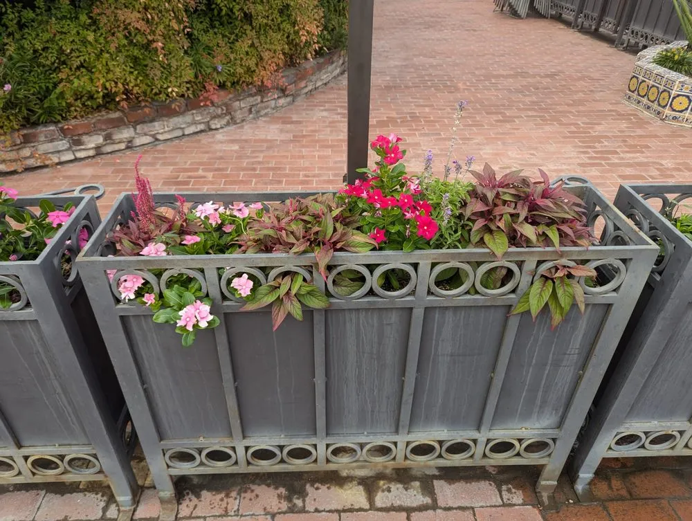 Trusted outdoor landscaping in Casas Adobes, AZ - Lopez Landscaping