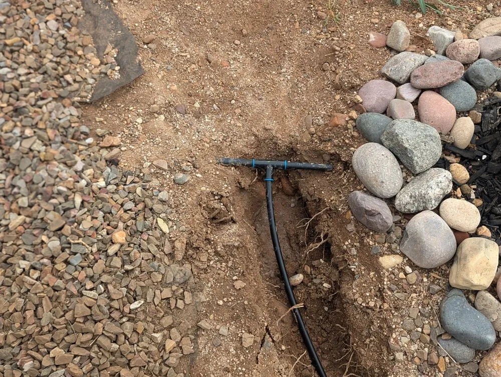 Professional garden landscaping in Casas Adobes, AZ by Lopez Landscaping