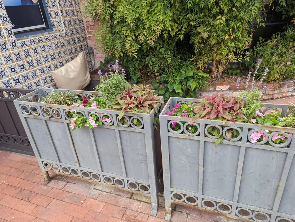 Local outdoor landscaping experts serving Casas Adobes, AZ - Lopez Landscaping