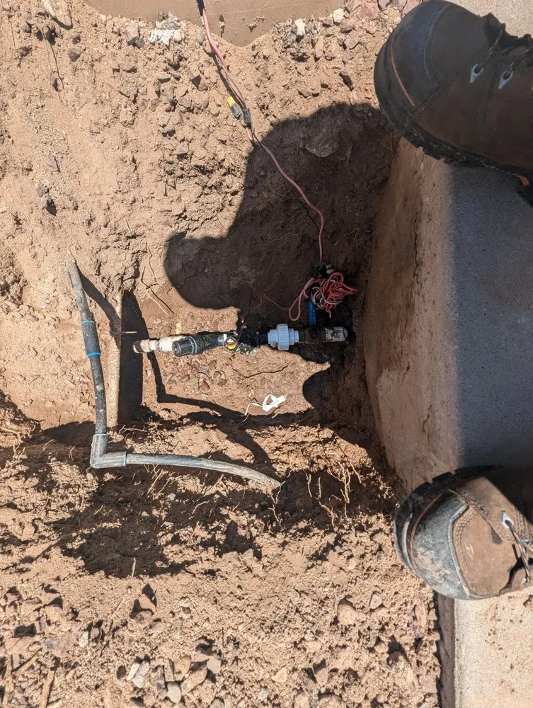 Expert yard cleanup service in Casas Adobes, AZ by Lopez Landscaping