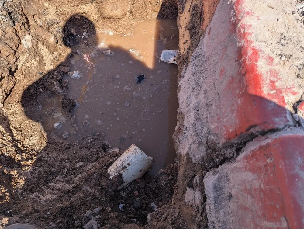 Expert landscaping services for year-round maintenance across Casas Adobes, AZ - Lopez Landscaping