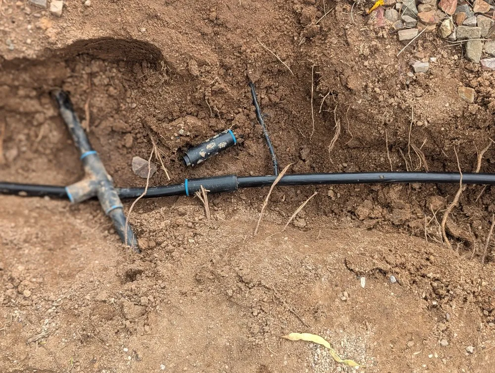 Local outdoor landscaping in Casas Adobes, AZ - Lopez Landscaping