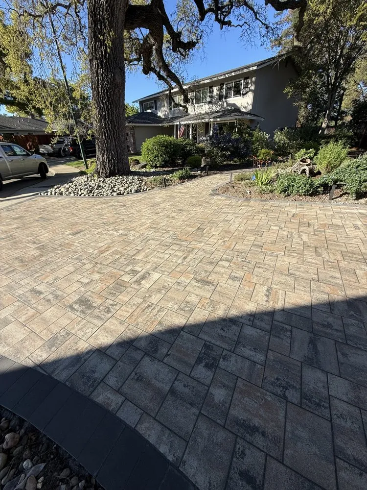 Affordable yard cleanup service in Concord, CA by Lopez Landscaping