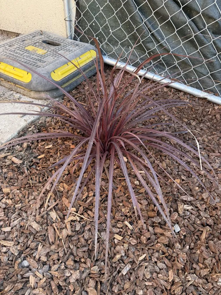 Affordable outdoor landscaping experts serving Concord, CA - Lopez Landscaping