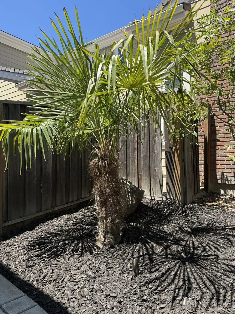 Expert landscaping services in Concord, CA - Lopez Landscaping