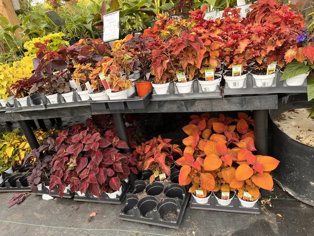 Local outdoor landscaping experts serving Derwood, MD - Lopez Landscaping