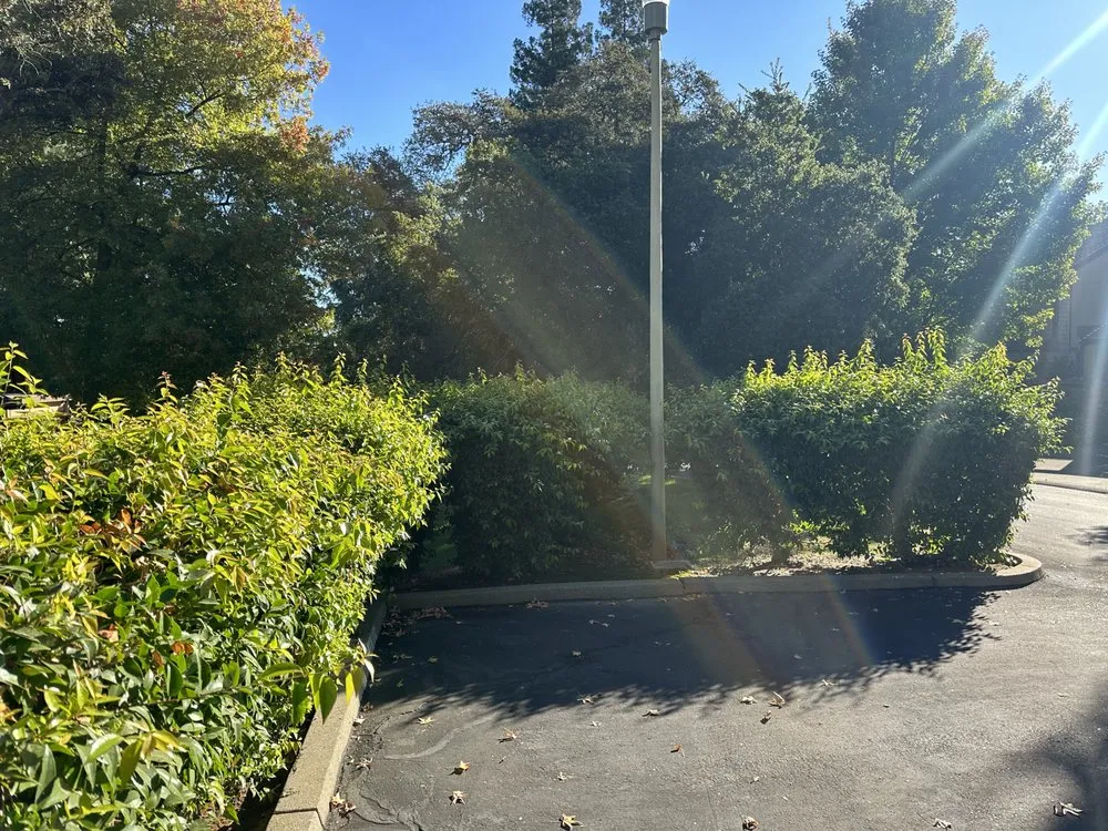 Affordable landscape design for outdoor upgrades across Foothill Farms, CA - Lopez Landscaping