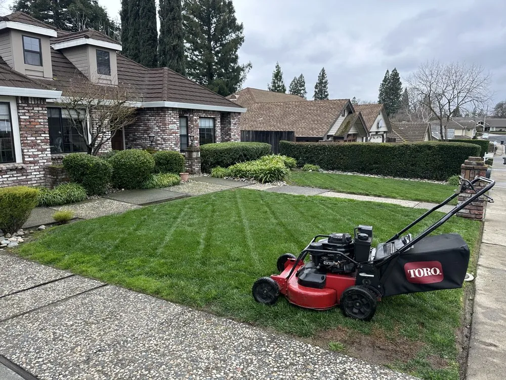 Custom garden landscaping in Foothill Farms, CA by Lopez Landscaping