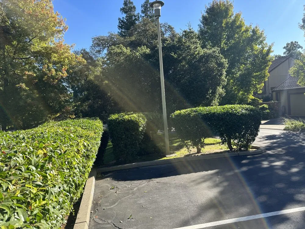 Trusted garden landscaping in Foothill Farms, CA by Lopez Landscaping