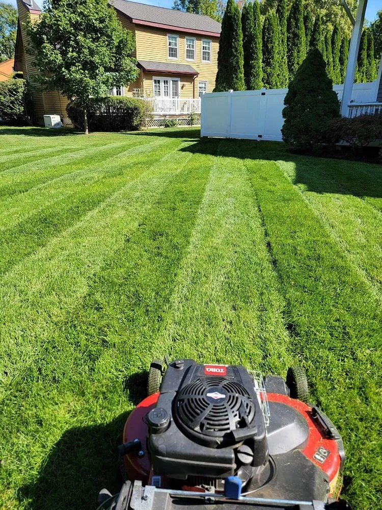 Top-rated garden landscaping with custom design in Foothill Farms, CA by Lopez Landscaping