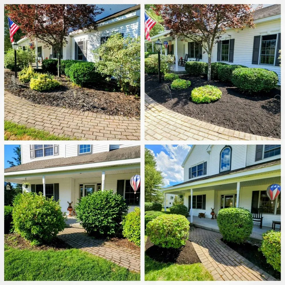 Affordable outdoor landscaping in Foothill Farms, CA - Lopez Landscaping