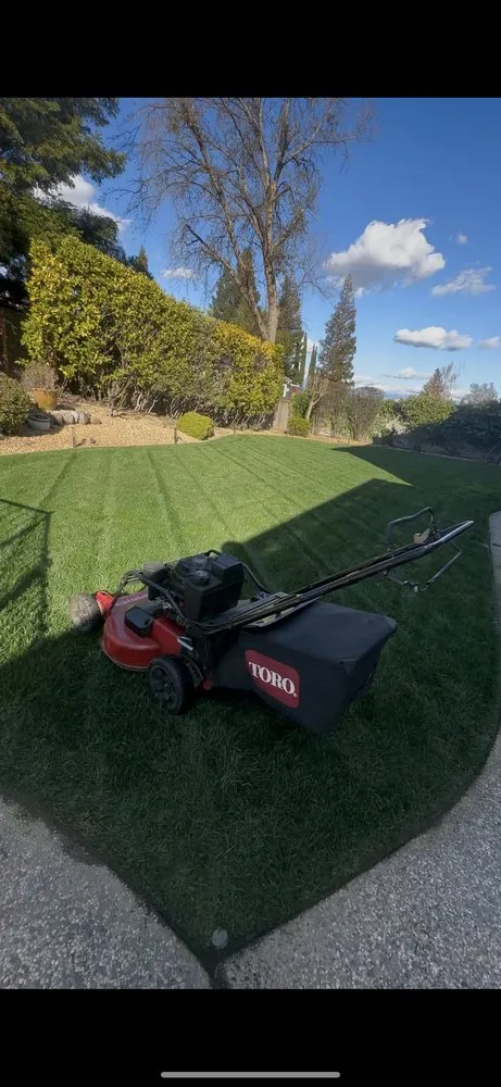 Trusted landscape installation experts serving Foothill Farms, CA - Lopez Landscaping