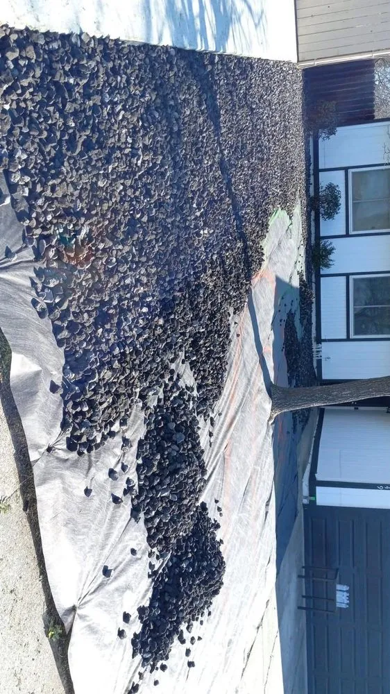 Affordable lawn care service in Foothill Farms, CA - Lopez Landscaping