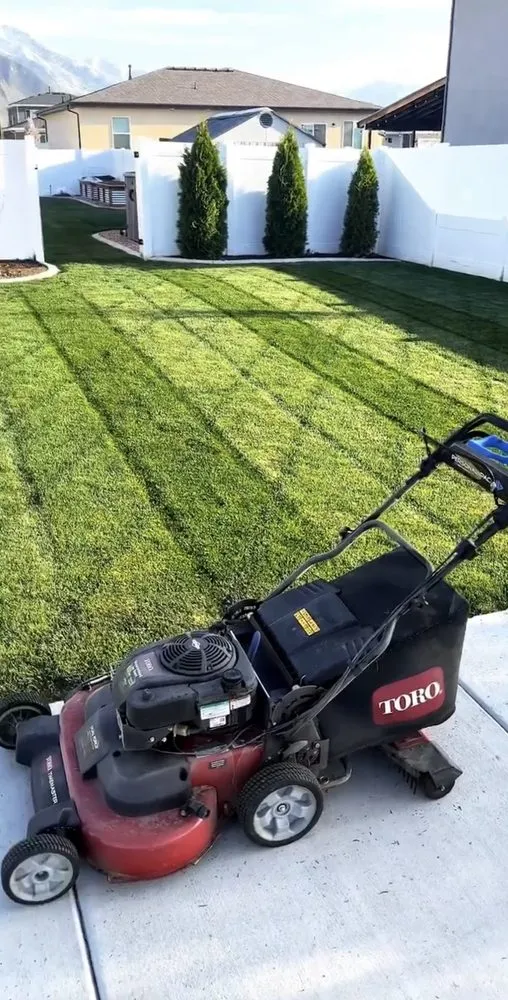 Professional yard cleanup service for homes in Foothill Farms, CA by Lopez Landscaping