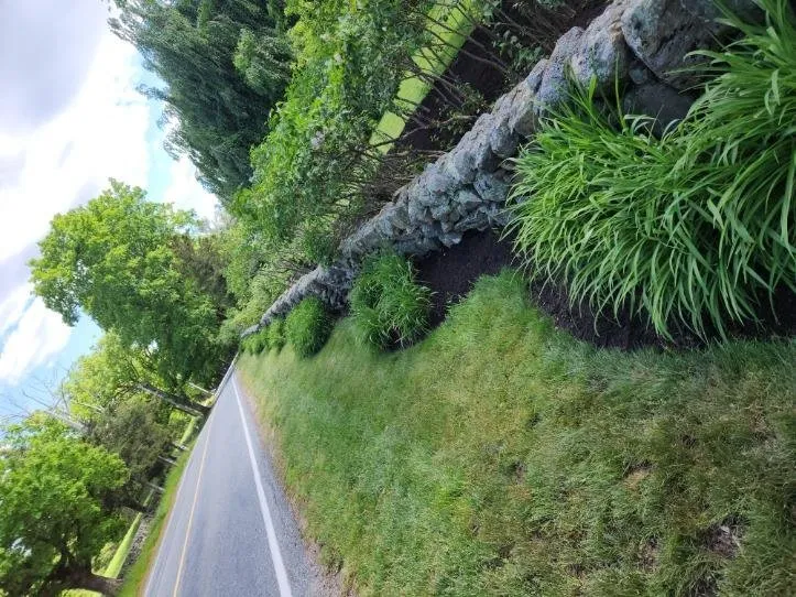 Trusted yard cleanup service experts serving Bellingham, MA - Lopez Landscaping Full Services