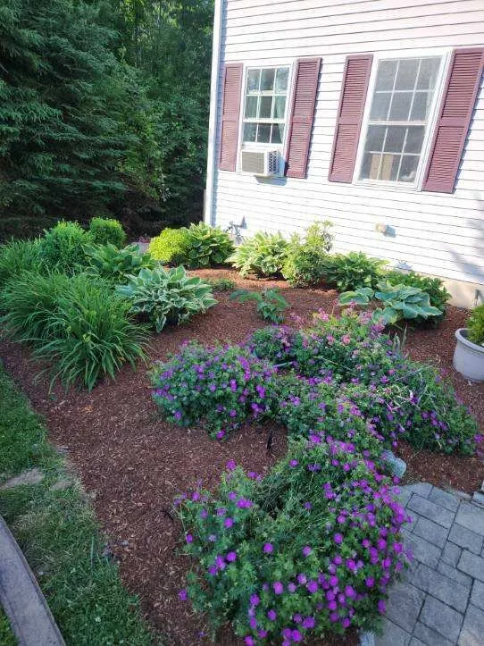 Top-rated yard cleanup service in Bellingham, MA by Lopez Landscaping Full Services