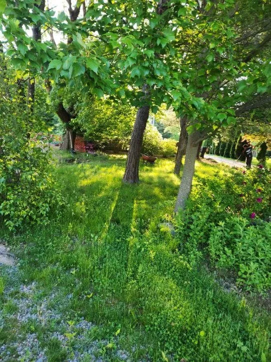 Affordable landscape design experts serving Bellingham, MA - Lopez Landscaping Full Services