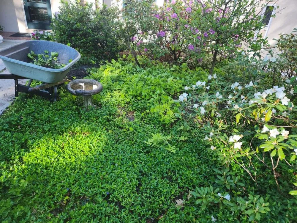 Affordable landscape design with custom design across Bellingham, MA - Lopez Landscaping Full Services