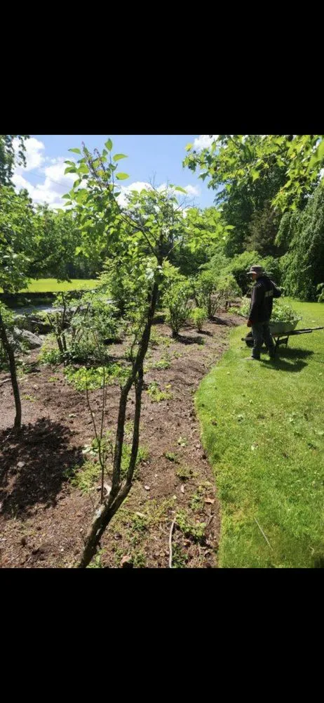 Trusted landscaping services near you in Bellingham, MA by Lopez Landscaping Full Services